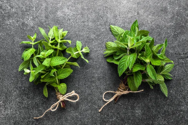 Culinary herbs. Green fresh mint leaves. Bunches of mint harvested freshly from the garden.