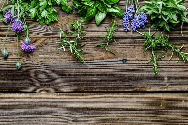 Fresh herbs from the garden. Rosemary, mint, lavender, parsley and basil herb, background with copy space.