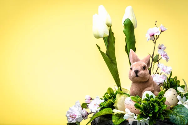 Sfondo pasquale con coniglietto pasquale primaverile su sfondo giallo — Foto Stock