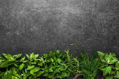 Taze bitkiler. Bahçeden taze toplanmış İtalyan otları..