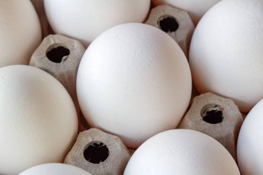 Karton Tepsi closeup beyaz tavuk yumurta