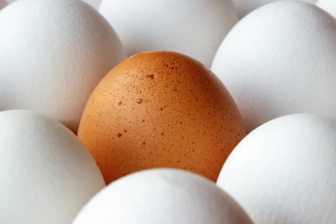 Kahverengi tavuk yumurta beyaz yumurta karton kaset'arasında