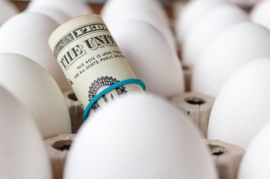 Bize dolar beyaz tavuk yumurta arka plan üzerinde bir tüpün içine yuvarlandı