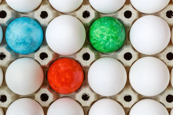 Colored easter eggs among white chicken eggs in cardboard tray closeup. Top view