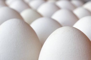 Tavuk yumurta karton tepsi closeup kümesi