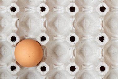 Boş kağıt tepsisi bir kahverengi tavuk yumurta ile. En baştan görüntülemek