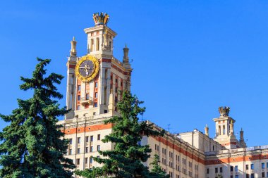 Lomonosov Moskova Devlet Üniversitesi (MSÜ) saati çerçevede yeşil çam ve mavi gökyüzü ile güneşli yaz akşamları kule
