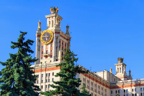 Lomonosov Moskova Devlet Üniversitesi (MSÜ) saati çerçevede yeşil çam ve mavi gökyüzü ile güneşli yaz akşamları kule