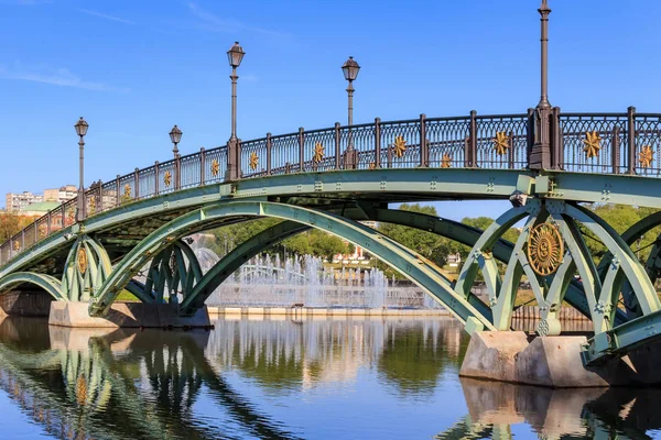 Moscou Russie Août 2018 Pont Vers Île Fer Cheval Dans — Photo