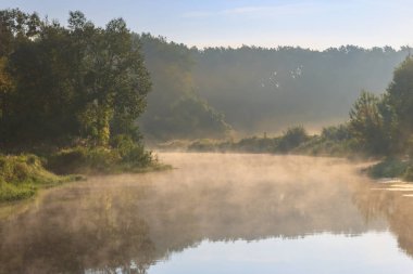 Sis güneşli yaz sabahı nehir yüzey üzerinde. Nehir manzara