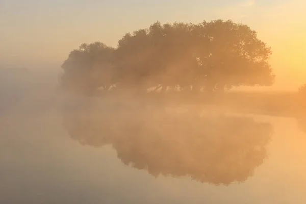 Árvores Margem Rio Nevoeiro Nascer Sol Laranja Manhã Ensolarada Paisagem — Fotografia de Stock