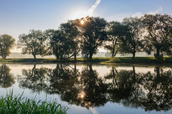 Ağaçlar Yaz Sabah Doğan Güneşe Karşı Nehir Kıyısında Nehir Manzara — Stok fotoğraf