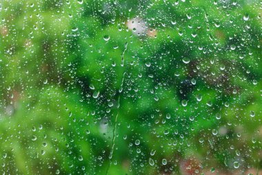 Yeşil bir arka plan üzerinde cam yüzeyinde su damlaları