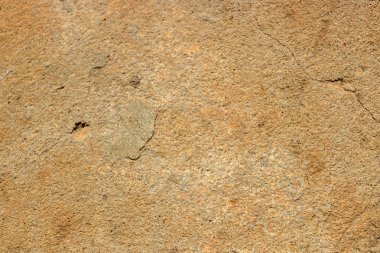 Kahverengi beton duvar doku portre. Arka plan