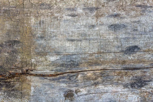 Текстура Старой Выветриваемой Серой Деревянной Доски Трещинами Крупным Планом Абстрактный — стоковое фото