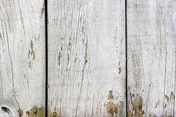 Texture of white painted weathered wooden boards with swollen paint and cracks. Abstract wooden background