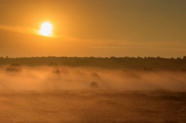 Turuncu güneş sis ile kaplı çayır üzerinde yükseliyor. Doğa manzara