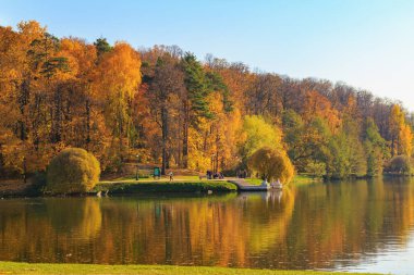 Ağaçlar güneşli sonbahar günü göl kıyısında renkli yaprakları ile. Sonbahar manzara