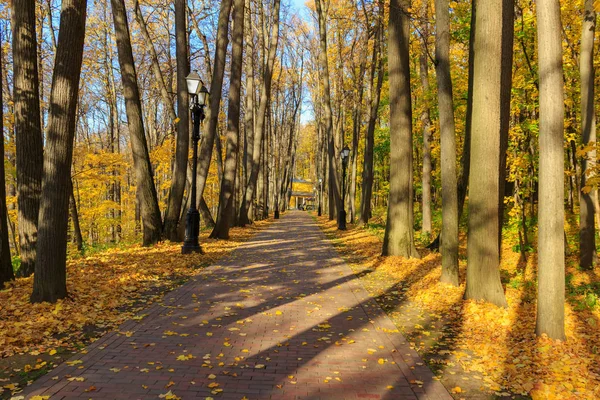 Touristic alley among trees with colored leaves on a blue sky background in Tsaritsyno park in Moscow at sunny autumn day