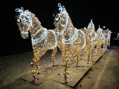 Moskova, Rusya - 17 Aralık 2018: Noel ışık süslemeleri Tsaritsyno Park Moskova'da kış geceleri