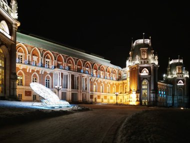 Moskova, Rusya - 17 Aralık 2018: Grand palace parkta Tsaritsyno Moskova ile Noel ışık süslemeleri kış geceleri