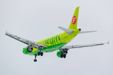 Moskova, Rusya - 17 Mart 2019: S7 - Sibirya Havayolları bulutlu bir günde gri gökyüzü karşı Moskova Domodedovo Uluslararası Havaalanı'nda açılış olacak, uçak Airbus A319-114 Vp Bhk