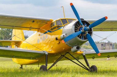 Sarı boyalı efsanevi Sovyet çift kanatlı uçak Antonov An-2 yeşil çimlere park etmiş.