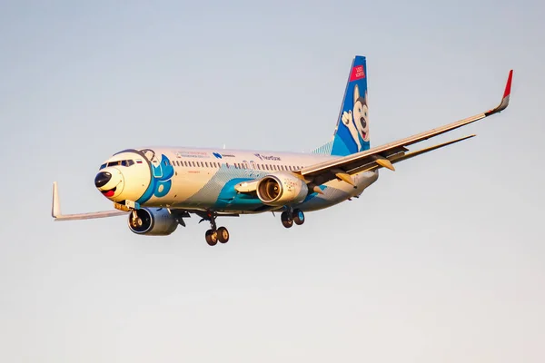Москва, Россия - 20 июня 2019 года: Самолеты Boeing 737-8AS (WL) VQ-BQT Laika специальной ливреей NordStar Airlines приземляются в международном аэропорту Домодедово на голубом фоне неба в солнечный вечер — стоковое фото