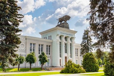 Moskova, Rusya - 22 Temmuz 2019: Moskova'daki Vdnh'de Pavilion Meat endüstrisi güneşli yaz sabahında bulutlu gökyüzüne karşı. Vdnh popüler turistik dönüm noktası