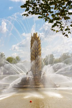 Moskova, Rusya - 22 Temmuz 2019: Güneşli yaz gününde beyaz bulutlarla mavi gökyüzü ile yaprakve mavi gökyüzü ile ağaç dalı bir arka plan üzerinde Moskova Vdnh parkta Altın Başak çeşme görünümü
