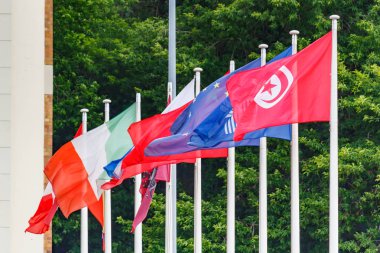 Güneşli sabahları yeşil ağaçlara karşı bayrak direkleriüzerinde farklı ülkelerin bayraklarını sallayarak