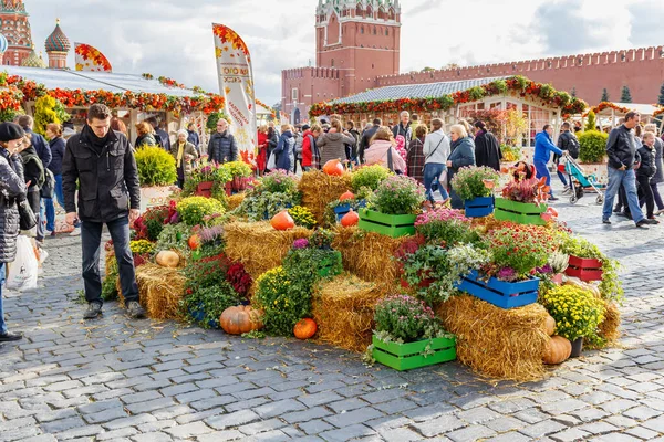 Moscú, Rusia - 05 de octubre de 2019: Instalación decorativa de vegetales y plantas en el tradicional festival Otoño de Oro en la Plaza Roja de Moscú — Foto de Stock