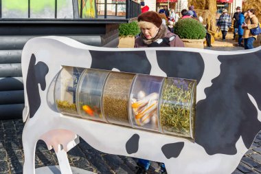 Moskova, Rusya - 08 Ekim 2019: Moskova 'daki Kızıl Meydan' da düzenlenen geleneksel Altın Sonbahar festivalinde siyah-beyaz ineğin dekoratif yerleştirilmesine yakın kadın