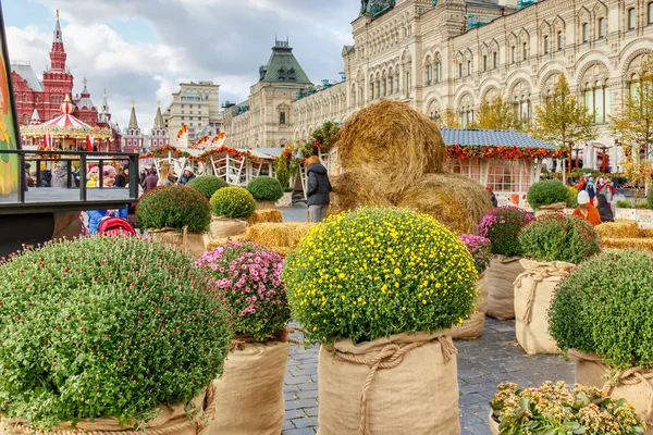 Moscú, Rusia - 08 de octubre de 2019: Instalaciones decorativas del tradicional festival Otoño de Oro en la Plaza Roja de Moscú en el soleado día de otoño — Foto de Stock