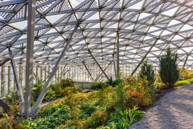 Moskova, Rusya - 08 Ekim 2019: Zaryadye Parkı 'ndaki Büyük amfitiyatronun cam çatısı altında çeşitli yeşil bitkileri olan bahçe. Güneşli sonbahar gününün görüntüsü