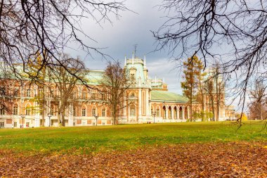 Moskova, Rusya - 16 Ekim 2019: Tsaritsyno Park 'taki büyük sarayın güneş ışığı manzarası. Moskova 'daki Tsaritsyno Park' ın sonbahar manzarası