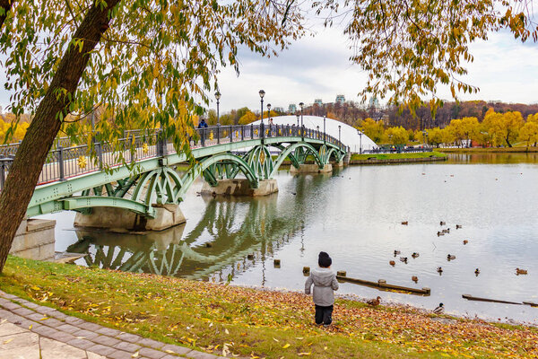 Москва, Россия - 16 октября 2019 года: Младший ребенок на берегу пруда кормит диких уток в Царицыно парке в Москве. Царицыно парк осенью
