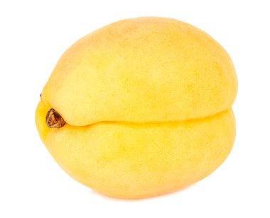 Olgun kayısı yakın plan beyaz arkaplanda izole