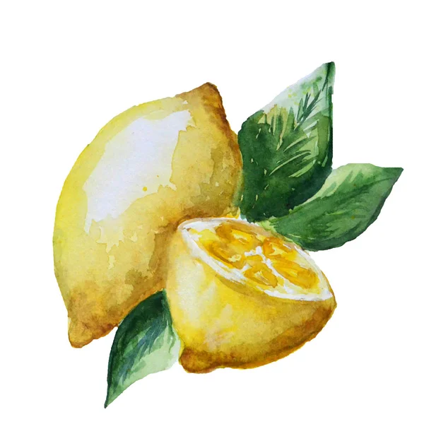 Akvarel Citron Bílém Pozadí — Stock fotografie