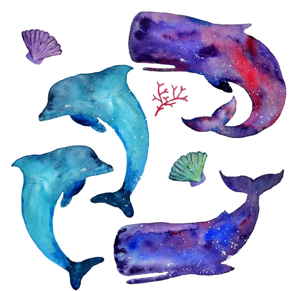 水彩のクジラやイルカ 白い背景で隔離の海要素 空と星のテクスチャです 海の生活 手描きイラスト — ストック写真
