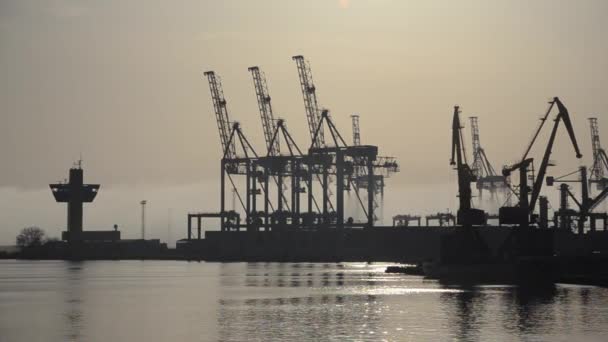 Odessa Port — Stok video