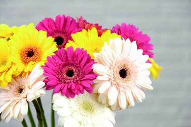 Beyaz tuğlalı arka planda bir buket renkli gerbera..