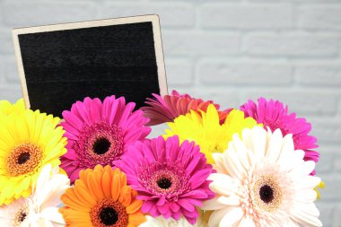 Beyaz tuğlalı arka planda bir buket renkli gerbera. Model