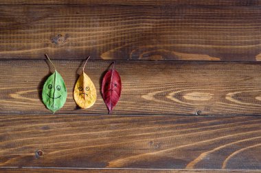 Ahşap arka planda sonbahar yaprakları yeşilden kırmızıya dönüşüyor. Mevsim değişimi kavramı.