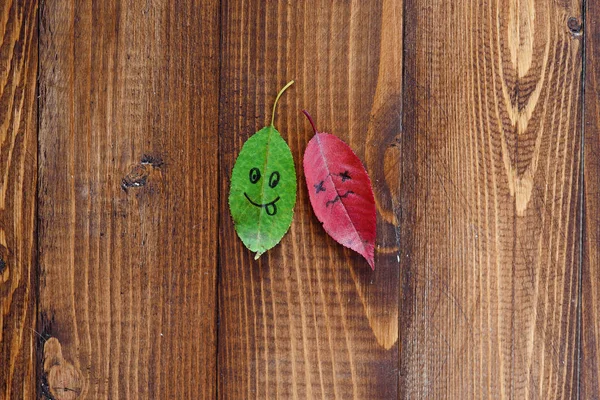 Green and red fallen leaves with a symbols of happy and sad faces on the wooden background.