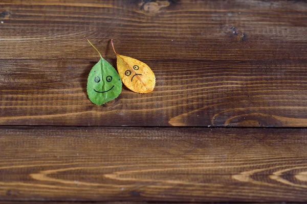 Green and yellow fallen leaves with a symbols of happy and sad faces on the wooden background.