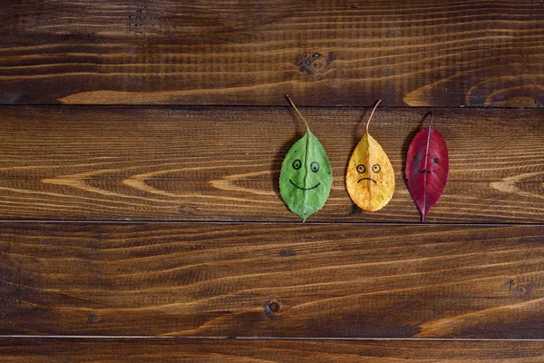 Autunno Lascia Transizione Dal Verde Rosso Sfondo Legno Concetto Cambio — Foto Stock