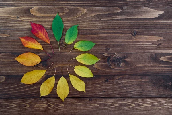 Autumn leaves set in a circle passes from green to red on a wooden background. The concept of changing the season.