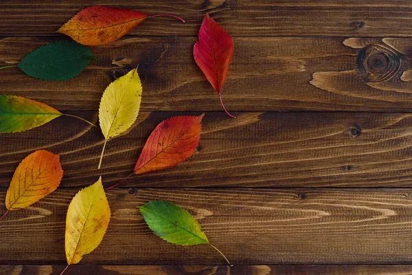 Herbstblätter Wechseln Von Grün Nach Rot Auf Hölzernem Hintergrund Konzeptwechsel — Stockfoto