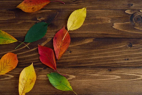 Otoño Deja Transición Del Verde Rojo Sobre Fondo Madera Concepto —  Fotos de Stock